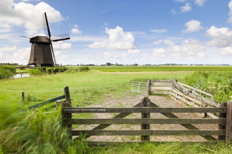 Lisse: Drive-it-Yourself Dutch Countryside GPS Audio Tour - Suitability Requirements