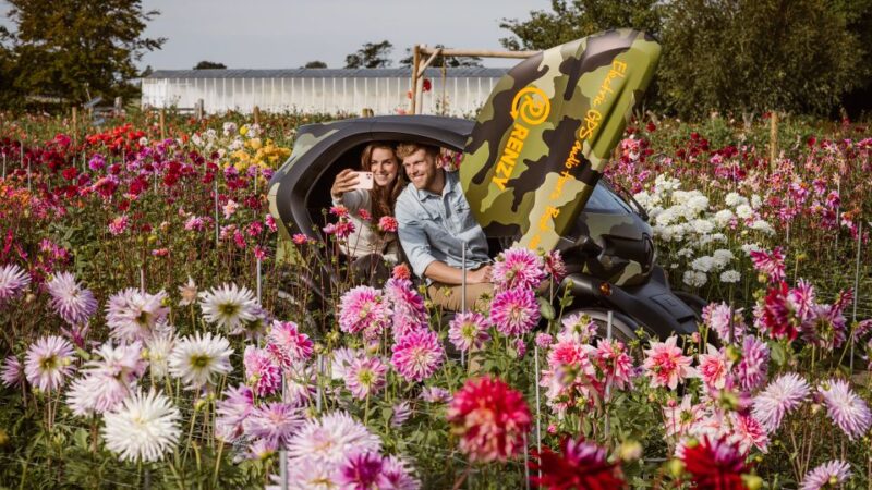 Lisse: Drive-it-Yourself Summer Flower GPS Audio Tour - Key Points