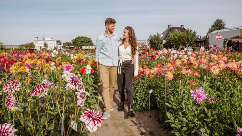 Lisse: Drive-it-Yourself Summer Flower GPS Audio Tour - Pricing and Booking Information
