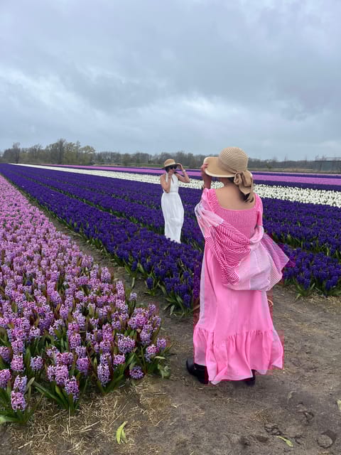Lisse: Private Tulip Fields Tour With a Local Guide - Key Points
