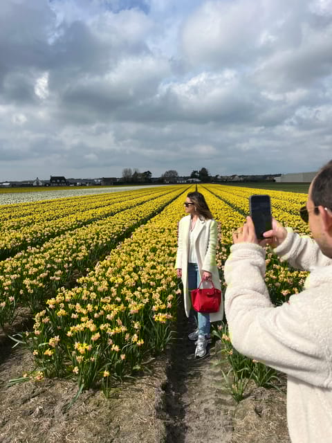 Lisse: Private Tulip Fields Tour With a Local Guide - Experience Details