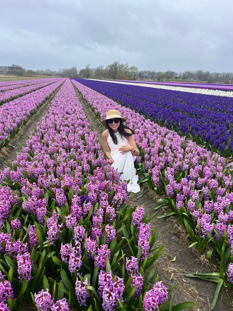 Lisse: Private Tulip Fields Tour With a Local Guide - Tulip Cultivation Insights