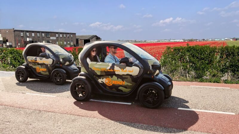 Lisse: Self-Guided Tulip Fields GPS Audio Tour - Tour Highlights and Experience
