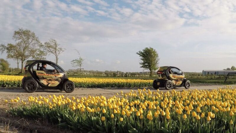 Lisse: Self-Guided Tulip Fields GPS Audio Tour - Exploring the Tulip Fields