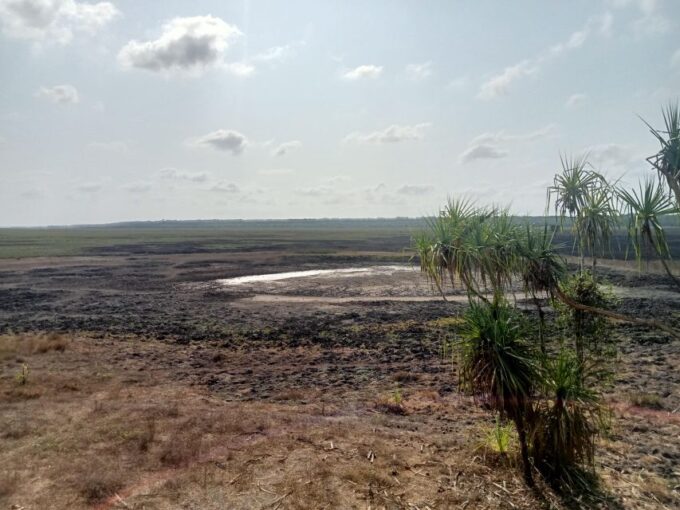 Litchfield 2 Day Tour. NT Top Adventures - Private Tour - Inclusions and Information