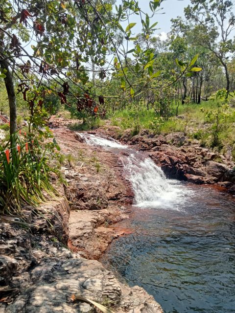 Litchfield Complete Tour! 2 Day! the Most Complete Litchy - Relax at Surprise Creek