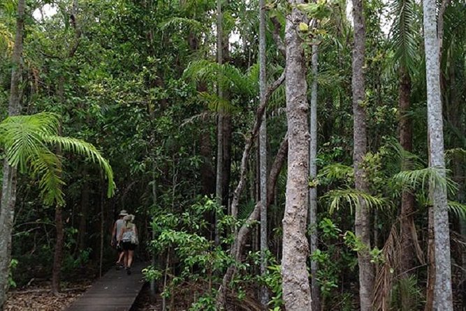 Litchfield National Park and Jumping Crocodile Cruise - About Litchfield Escapes