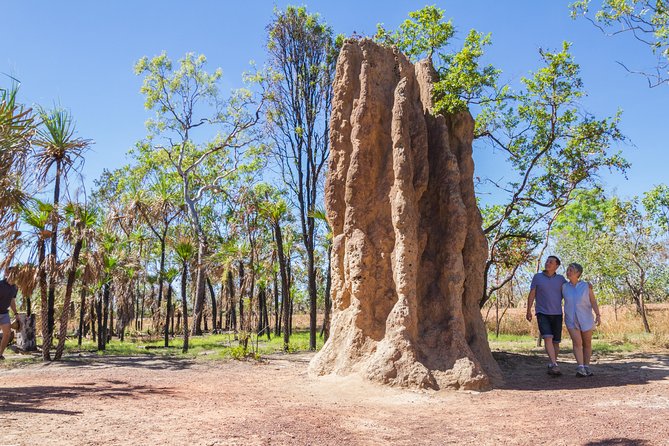Litchfield National Park Day Tour From Darwin - Exploring Ancient Wonders