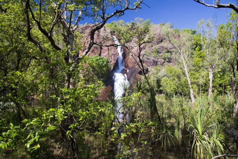 Litchfield National Park: Full-Day & Lunch From Darwin - Wangi Falls