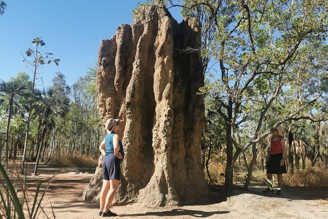 Litchfield National Park Tour & Berry Springs, Max 10 Guests, - Pickup and Accessibility