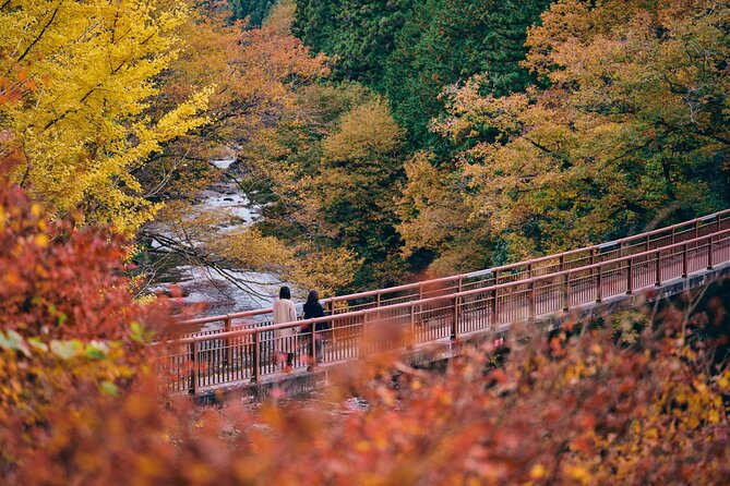Little Adventure With Cycling in Tokyo No. 1 Crystal Clear River - Guide and Group Size
