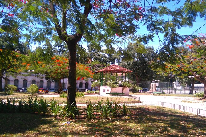 Little Africa And The City Of Samba: Where Dreams Come True - Historical Significance