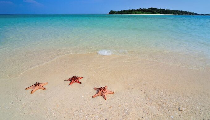 LITTLE BORACAY- CALATAGAN BATANGAS DAYTOUR (FROM MANILA) - Frequently Asked Questions