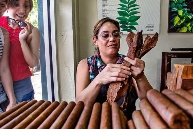 Little Havana Walking Tour + 1 Hour Everglades Airboat Ride - Pickup and Drop-off Details