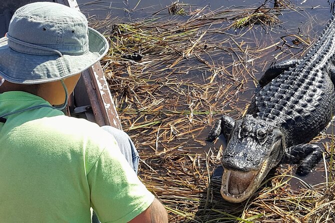 Little Havana Walking Tour + 1 Hour Everglades Airboat Ride - The Everglades Adventure