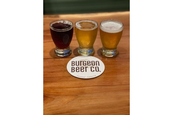 Little Italy Booze and Bar Bites - Insights From the Local Guide