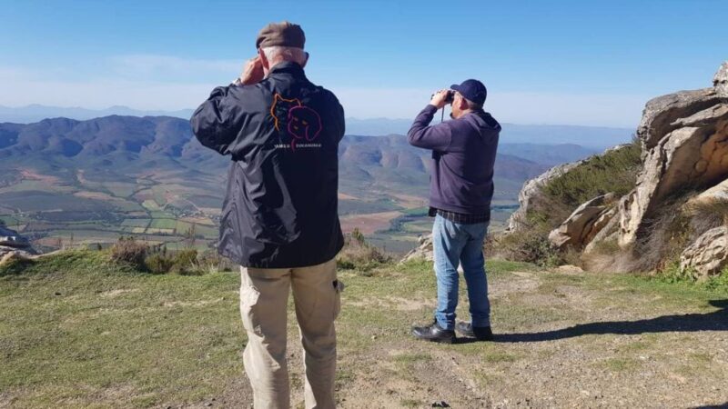 Little Karoo Birding - Key Points