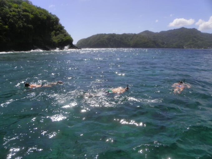 Little Tobago: Glass Bottom Boat Tour - Scenic Coastal Drive
