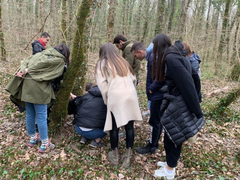 Livade: Guided Truffle Hunting Walking Tour - Itinerary and Activities