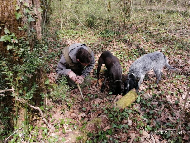 Livade: Guided Truffle Hunting Walking Tour - About the Truffle Hunter
