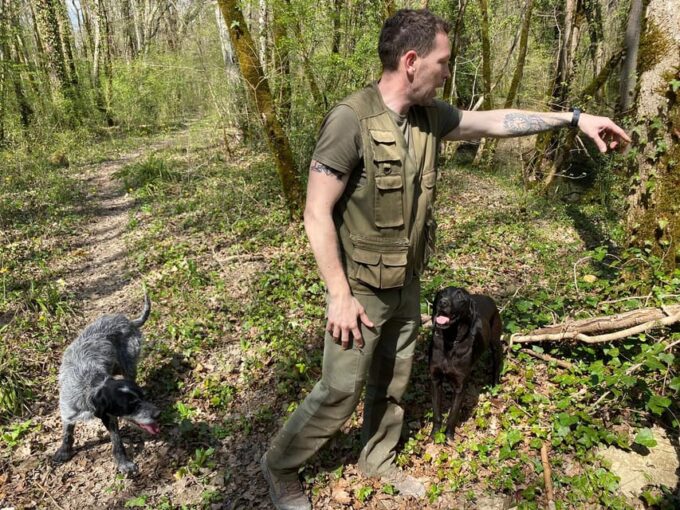 Livade: Guided Truffle Hunting Walking Tour - Istrian Microclimate and Ecosystem