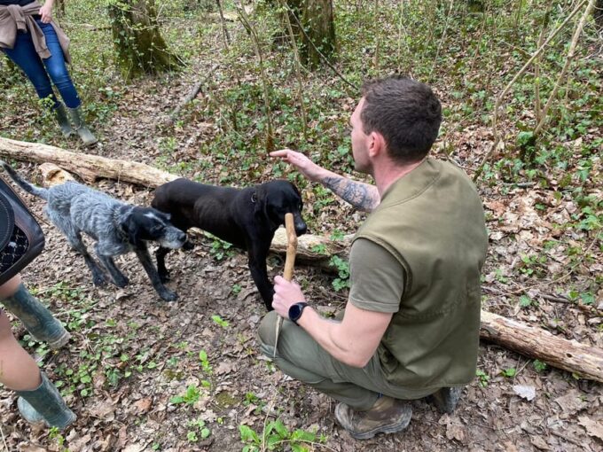 Livade: Guided Truffle Hunting Walking Tour - Training Dogs for Truffle Hunting