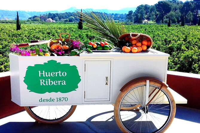 Live an Experience Among Orange Trees in Huerto Ribera - Inclusions and Offerings