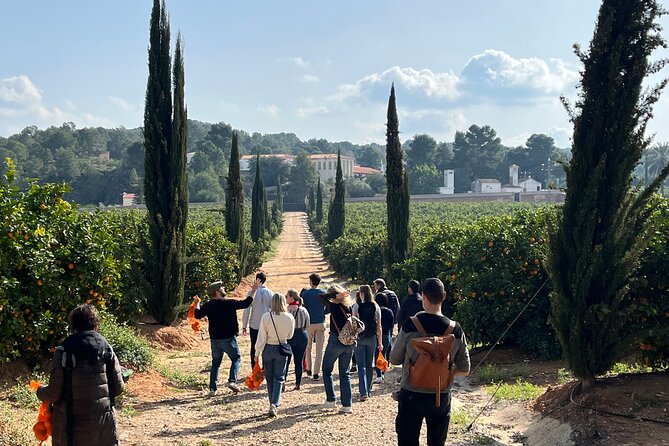 Live an Experience Among Orange Trees in Huerto Ribera - Meeting and Pickup Details