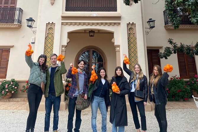 Live an Experience Among Orange Trees in Huerto Ribera - Arrival and Transportation