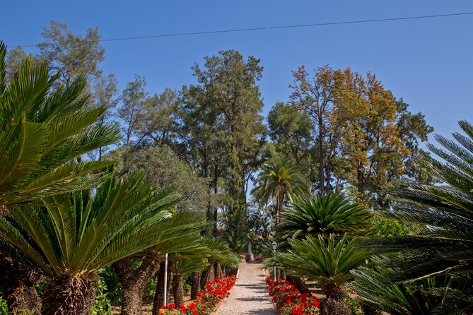 Live an Experience Among Orange Trees in Huerto Ribera - Schedule and Cancellation Policy