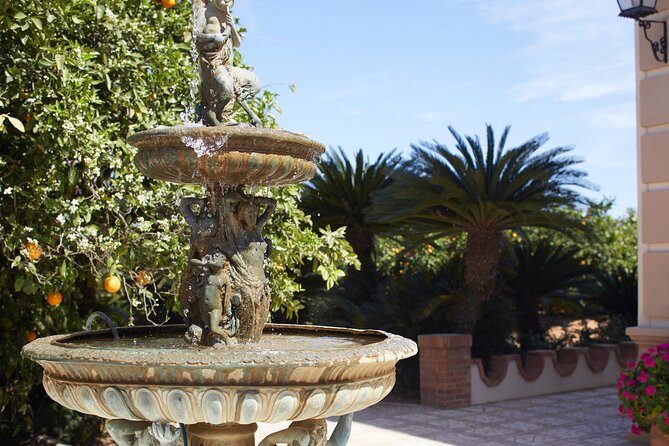 Live an Experience Among Orange Trees in Huerto Ribera - Accessibility and Participation