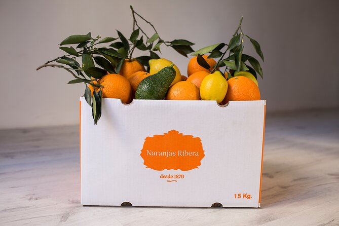 Live an Experience Among Orange Trees in Huerto Ribera - Highlights of the Experience