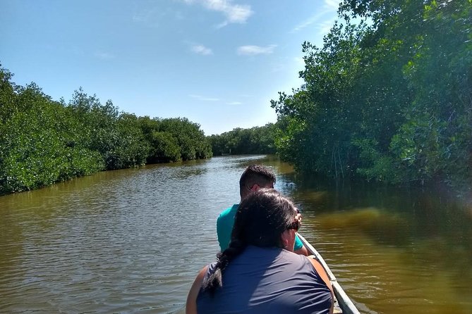 Live Like a Fisherman on the Mangroves Rout - Typical Cartagena Cuisine Experience