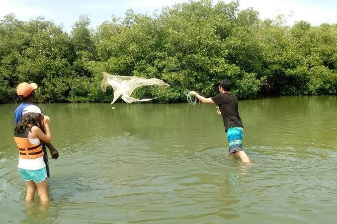 Live Like a Fisherman on the Mangroves Rout - Discover the Mangroves Route