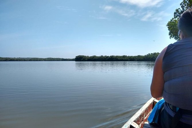 Live Like a Fisherman on the Mangroves Rout - Typical Cartagena Cuisine Experience