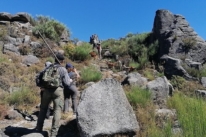 Live Like a Local - 3-Day Experience in Gerês Mountain With Local Food Tasting - Exploring Gerês Mountain