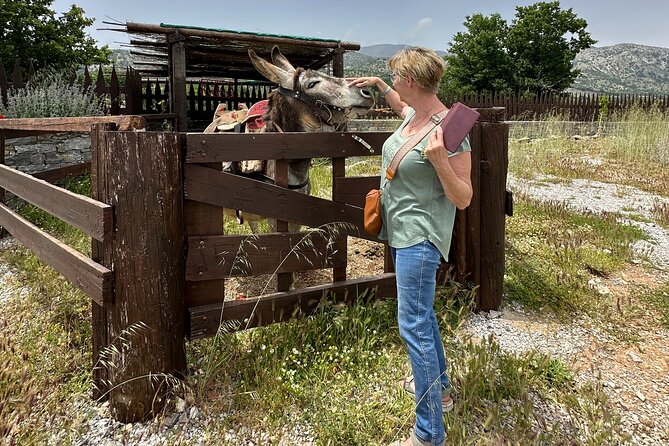 Live Like a Shepherd for One Day, the Mitato Experience - Inclusions