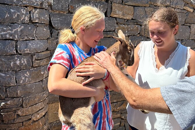 Live Like a Shepherd for One Day, the Mitato Experience - Detailed Itinerary