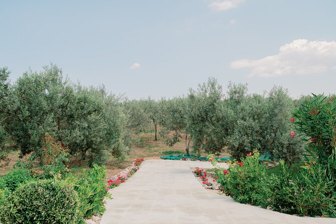 Live Oil Tour & Tasting by Markellos Olive - Location and Meeting Point