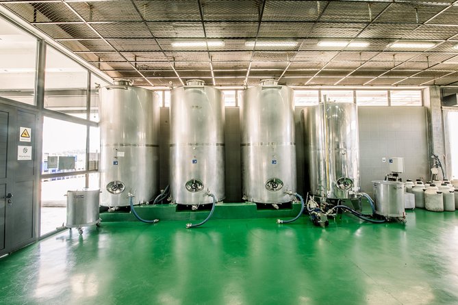 Live Oil Tour & Tasting by Markellos Olive - Booking and Cancellation Policy