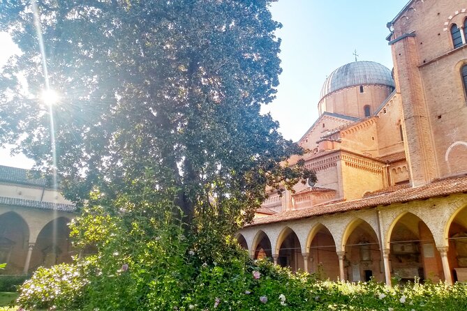 Live Padua as a Local - Feedback and Reviews