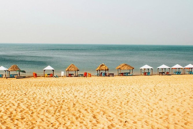 Live the Best 10 Attractions in Alter Do Chão - Pricing and Booking Information