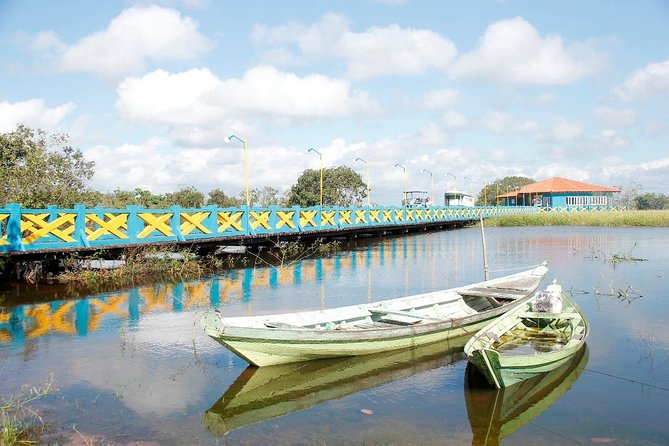 Live the Best 10 Attractions in Alter Do Chão - Taking in the Enchanted Forest