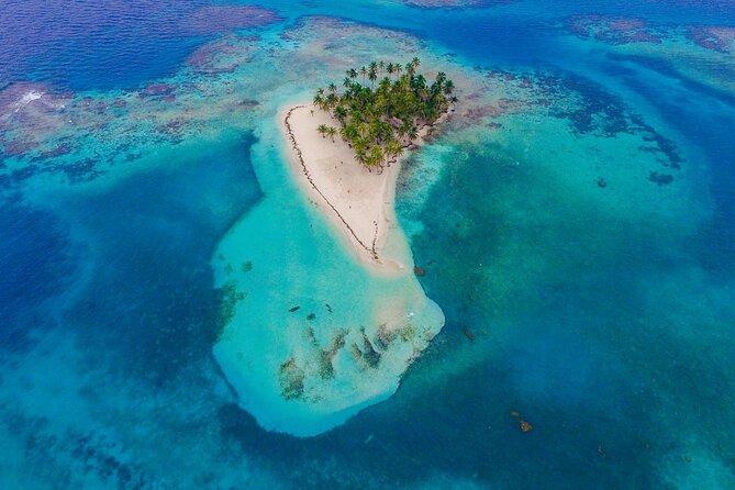 Live the Experience of a Full Day in San Blas - Discover the Culinary Offerings