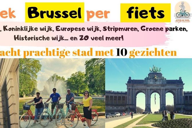 Lively Brussels Highlights Bike Tour DUTCH - Accessibility and Participation