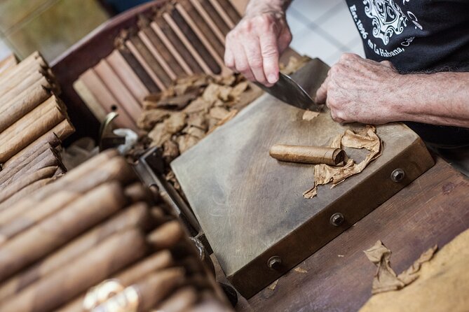 Lively Havana Food and Culture Walking Tour - Navigating the Lively Streetscapes