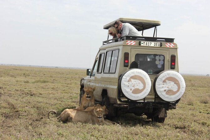 Living Among Lions - Key Points