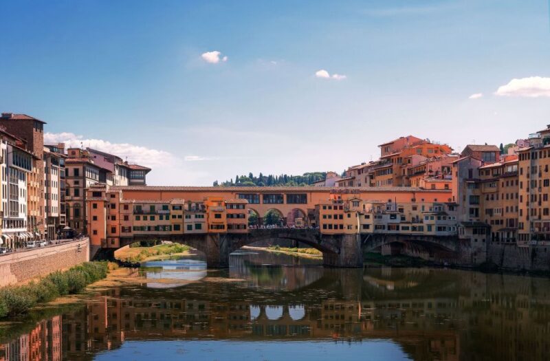 Livorno: Florence and Pisa Private Shore Tour - Transportation and Guide Services