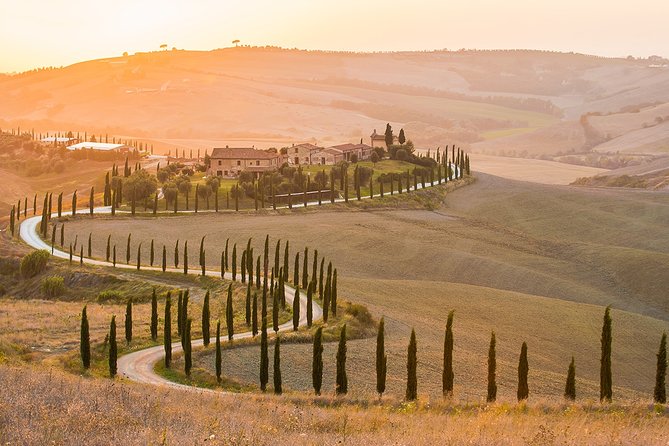 Livorno Port Shore Excursion: Siena San Gimignano Lunch&WineTasting - Pricing and Policies