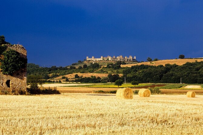 Livorno Port Shore Excursion: Siena San Gimignano Lunch&WineTasting - Local Attractions